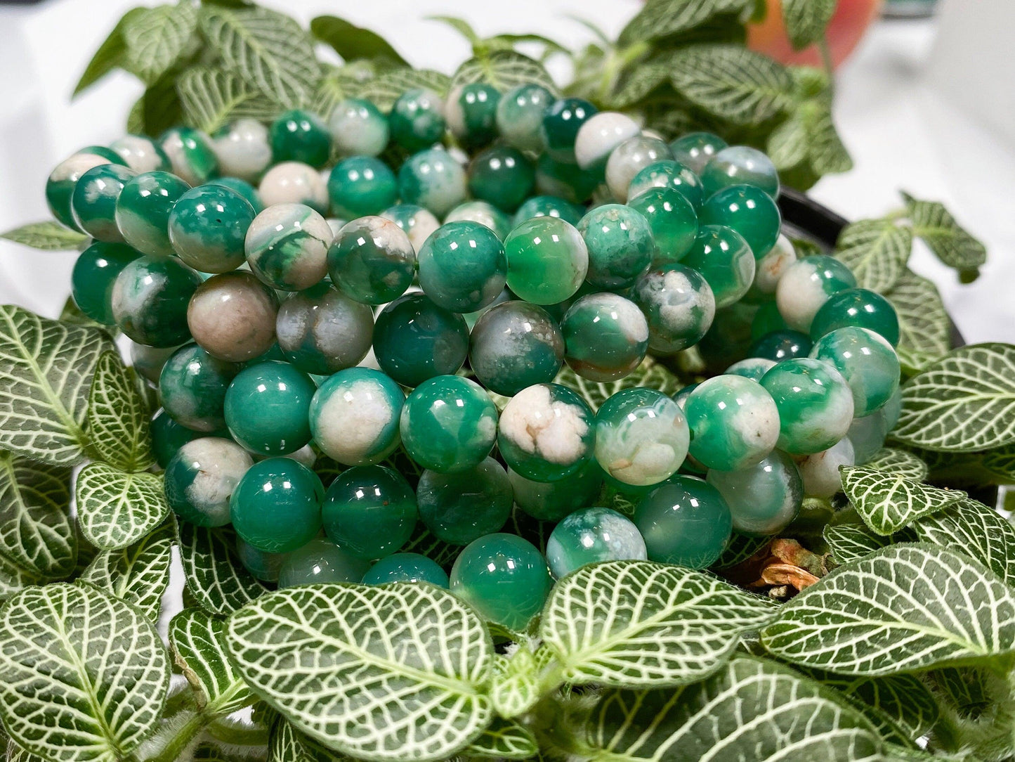 Close-up of several Green Flower Agate Crystal Bracelets from The Crystalary, made of polished stones. The green and white crystal bracelets are coiled together and resting on a bed of vibrant green leaves with prominent white veins. The softly blurred background enhances the energy of the heart chakra.