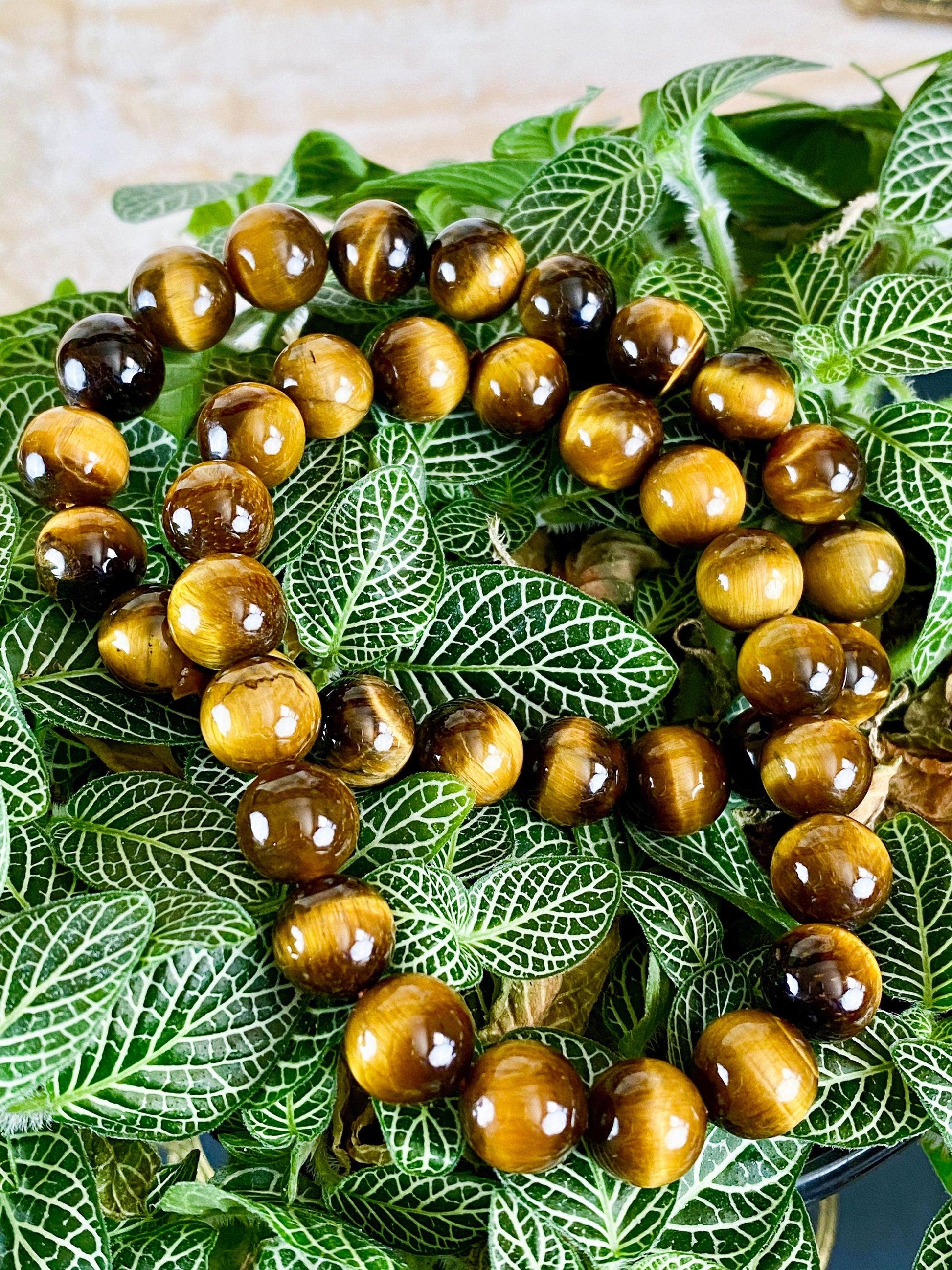 A natural beaded crystal bracelet from The Crystalary, named the Tiger Eye Jewelry Crystal Bracelet, rests on a bed of vibrant green leaves, creating a striking contrast between the earthy brown tones of the Tiger Eye beads and the intricate patterns of the foliage.